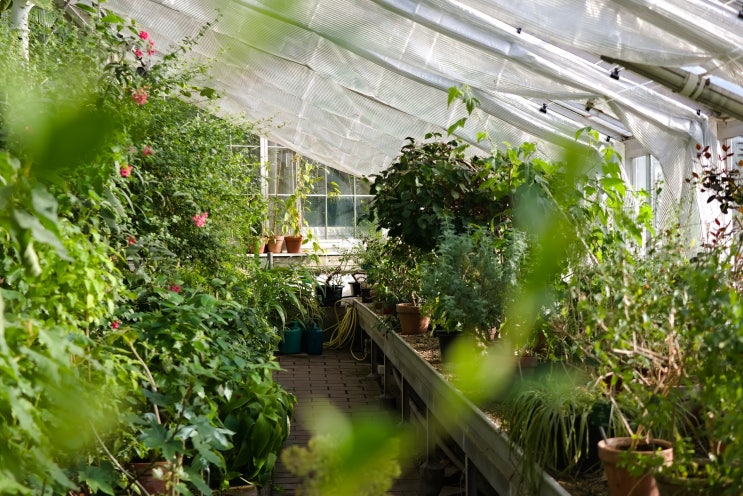 시설원예기사 Engineer Protected Cultivation 시설원예기사 Engineer Protected Cultivation