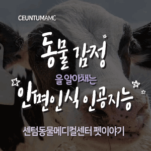  [동물뉴스]동물 감정을 알아채는 안면인식 인공지능