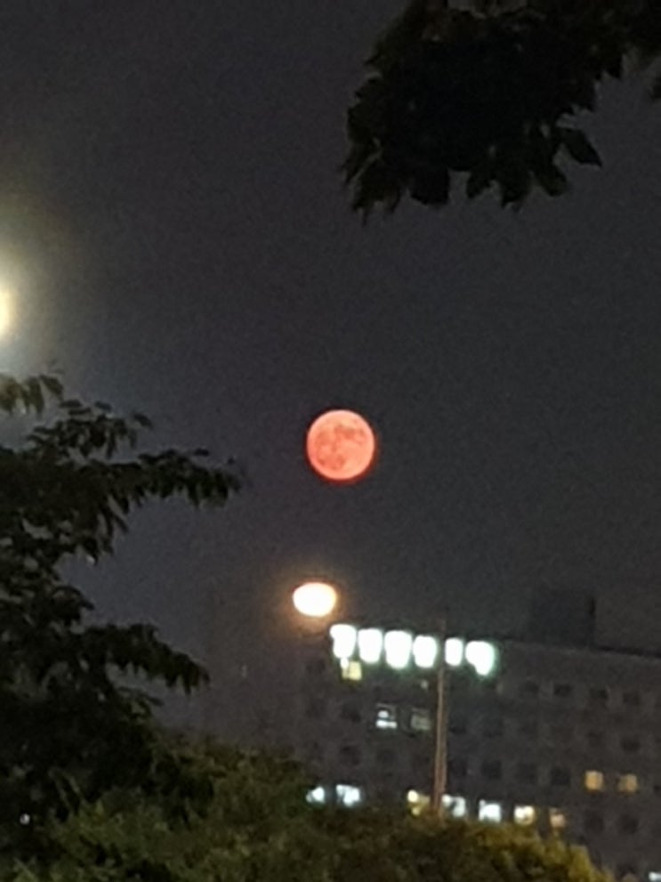  붉은 달이 예쁘네요