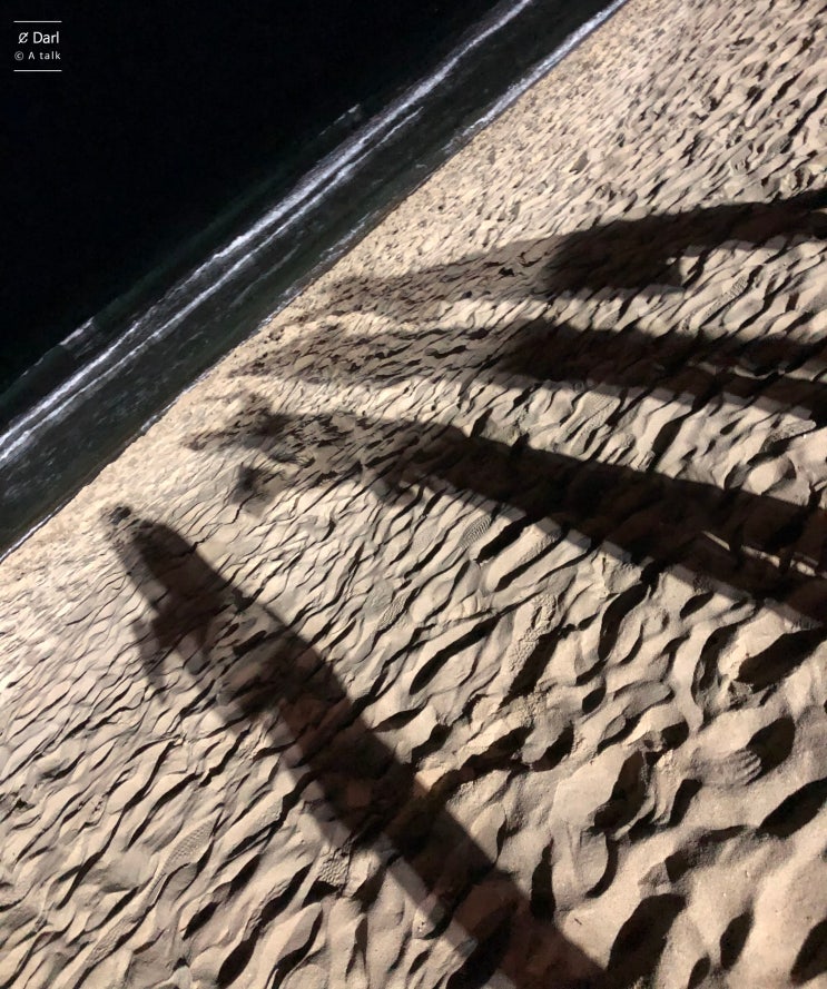 약 한 달 만에 다시 컴백한 블로그 주인장... cc