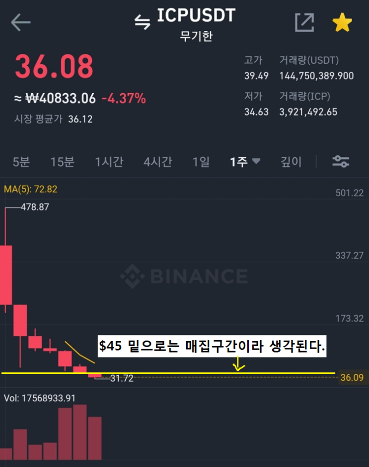  인터넷컴퓨터코인(ICP) 다시 다가올 코인불장에 대비해 대장주를 선취매 해두자.