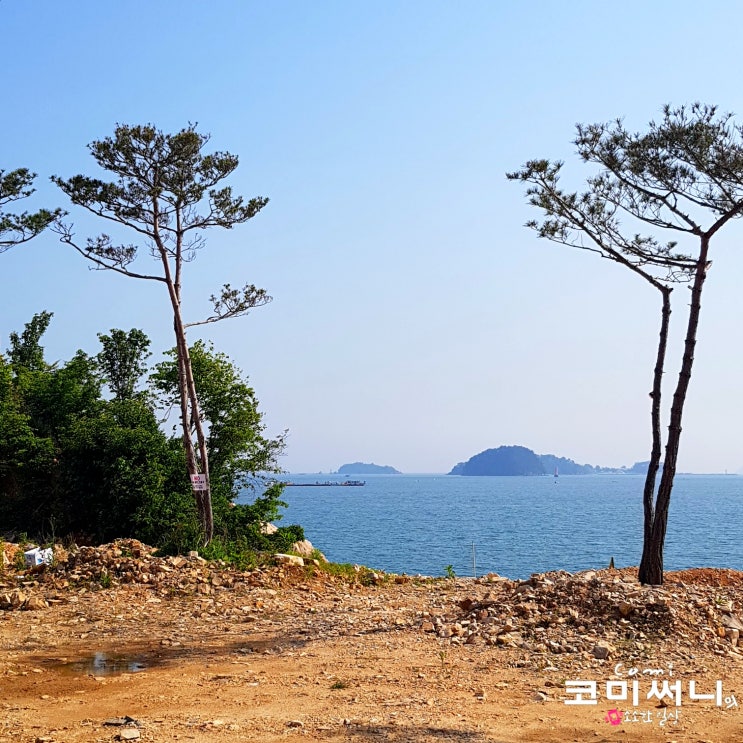 [충남 당진 여행] 왜목마을 해수욕장과 당진 해안로에 뷰가 좋은 노지 차박지