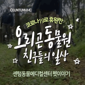  [동물뉴스]코로나19로 휴원한 오리곤 동물원 친구들의 일상
