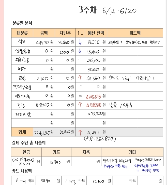  직장인 1인가구 가계부, 6월 3주차 :: 건강이 최고