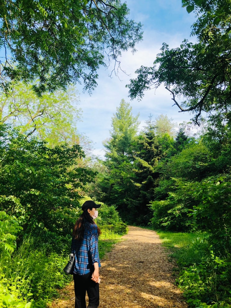  [토론토 일상] Edwards Garden 에드워드 가든으로 근교 산책 다녀왔어요 (+ 수백억 하우스/부자동네구경 The Bridle Path)