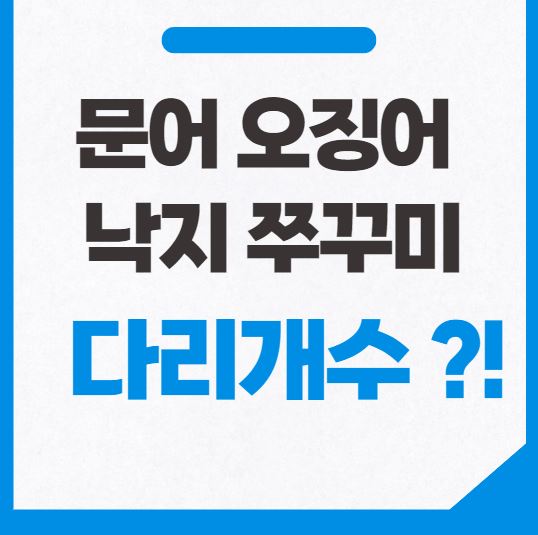  문어 오징어 낙지 쭈꾸미 다리개수
