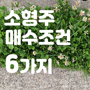 주식 투자 하는법, 소형주 매수 기준 6가지 알아보기