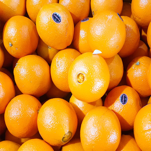 선택고민 해결 달달과수원 퓨어스펙 맛있는 고당도 오렌지, 88개입, 18kg ···