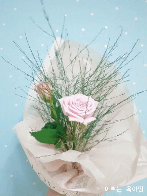  신랑님의 깜짝선물!! 어쩜 이래^-^