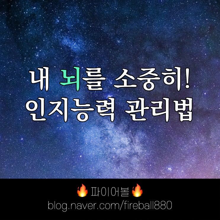  치매 예방 + 인지능력을 높은 상태로 유지하는 방법은?