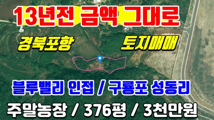 포항토지매매-구룡포 성동리 13년전 금액 그대로 주말농장으로 추천