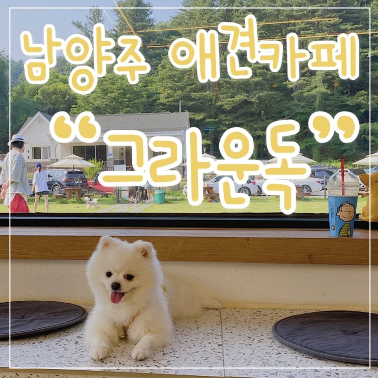  남양주 그라운독, 수영장있는 애견카페 굿