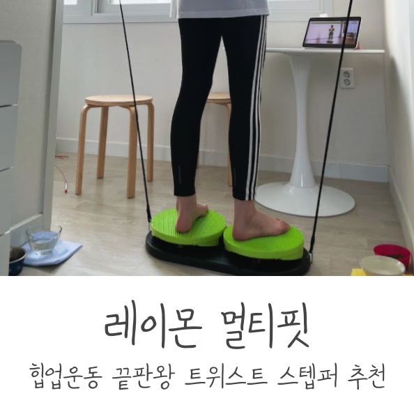  힙업운동 끝판왕, 레이몬 멀티핏 트위스트 스텝퍼 추천