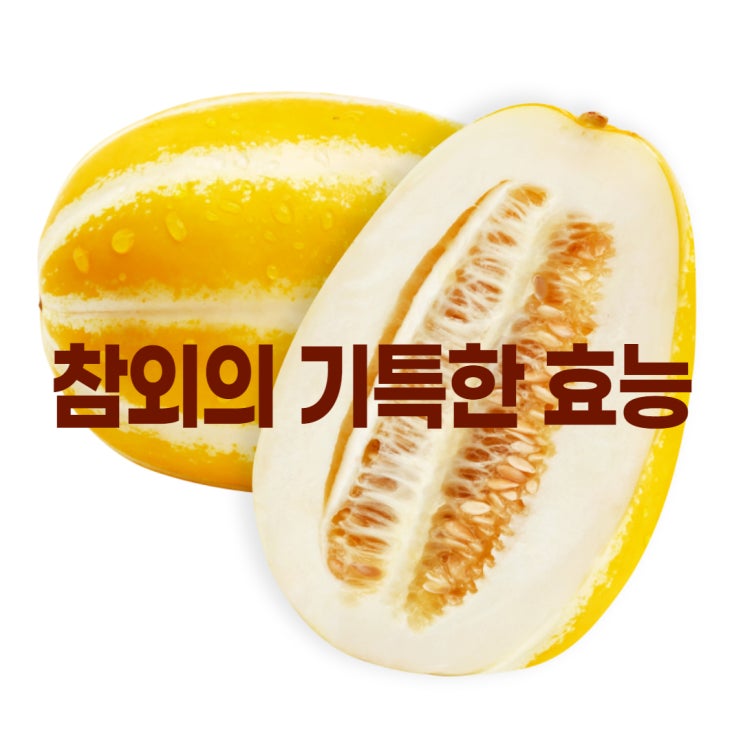  참외 효능 5가지 칼로리 영양 보관 고르는법