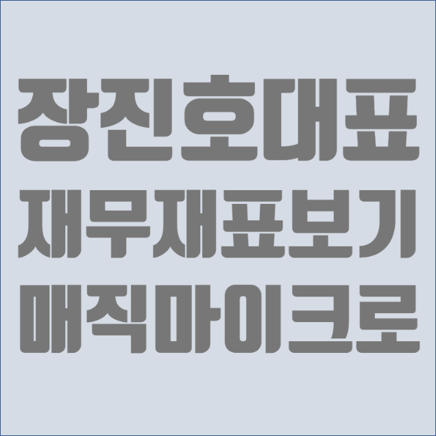  [기초주식공부] 재무재표 보기 - 장진호대표, 매직마이크로