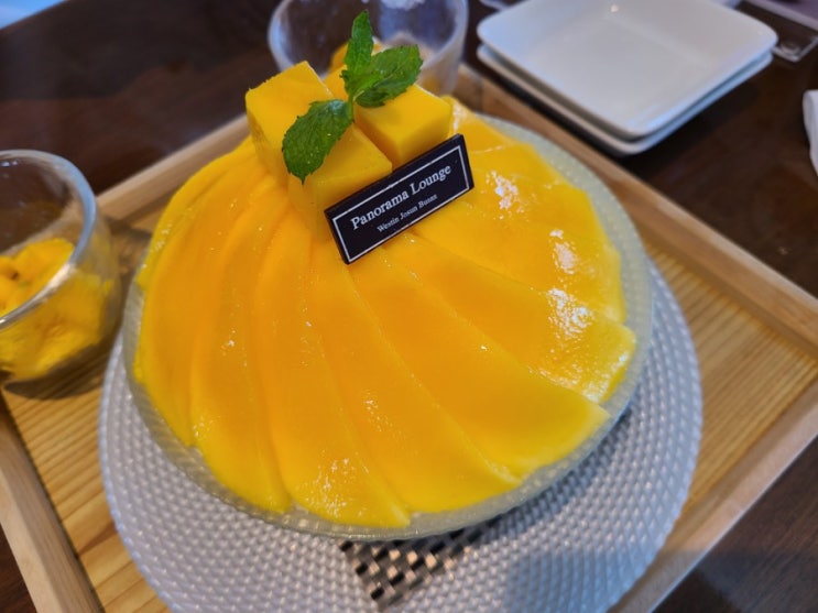  부산3박4일 여름휴가1일차