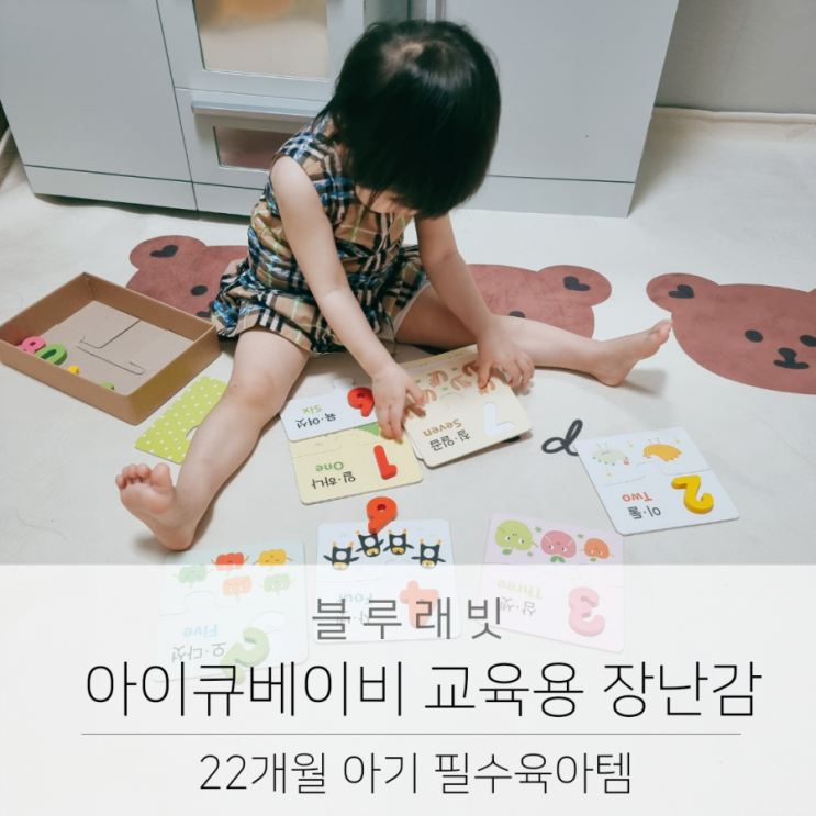블루래빗 아이큐베이비 22개월 아기 교육용 장난감