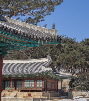 창경궁, 세종의 아버지인 태종과 조선의 왕비들이 머물렀던 궁궐