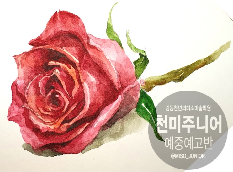  [예중·예고입시] 수채화로 장미 정복하기