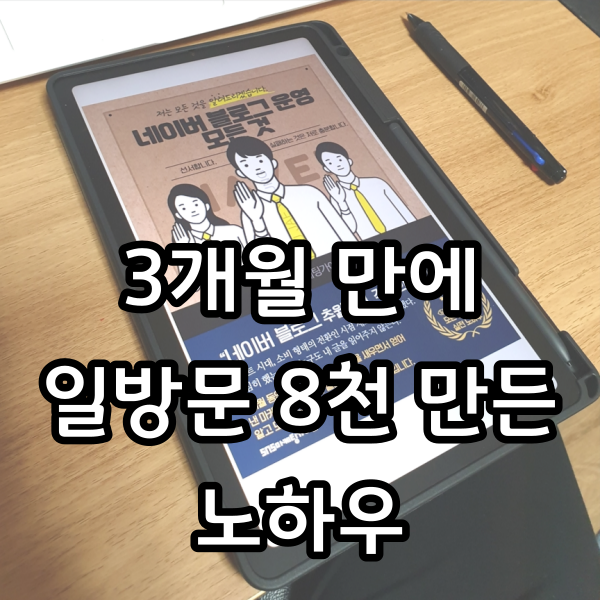 [리뷰] 3개월 만에 일방문 8천 만든 노하우 by 부의 시크릿노트