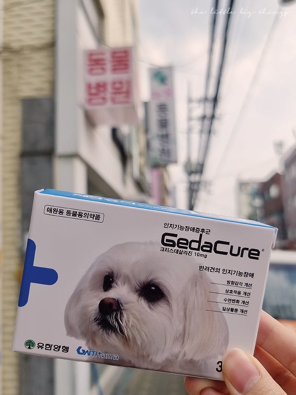 제다큐어 강아지 치매약 애비 강아지