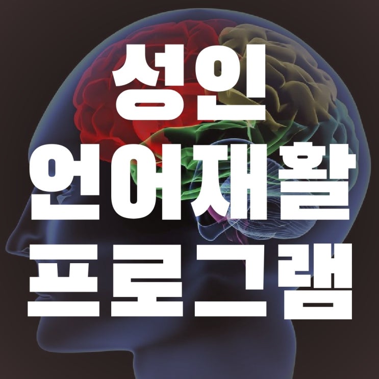 성인 언어재활 프로그램 안내(노인) / 뇌출혈 뇌경색 성인 언어치료