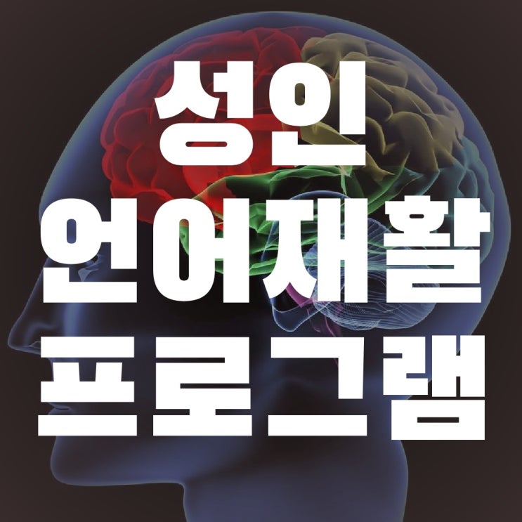  성인 언어재활 프로그램 안내(노인) / 뇌출혈 뇌경색 성인 언어치료