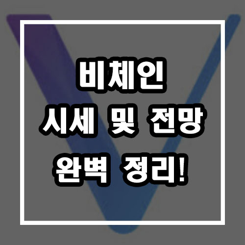  비체인 시세 및 전망 완벽 정리