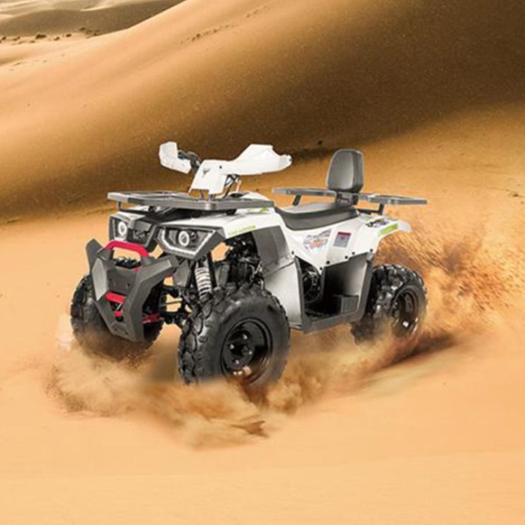 갓성비 좋은 제트로모터스 ATV200CC 사륜바이크 ATV, 화이트 추천해요 갓성비 좋은 제트로모터스 ATV200CC 사륜바이크 ATV, 화이트 추천해요