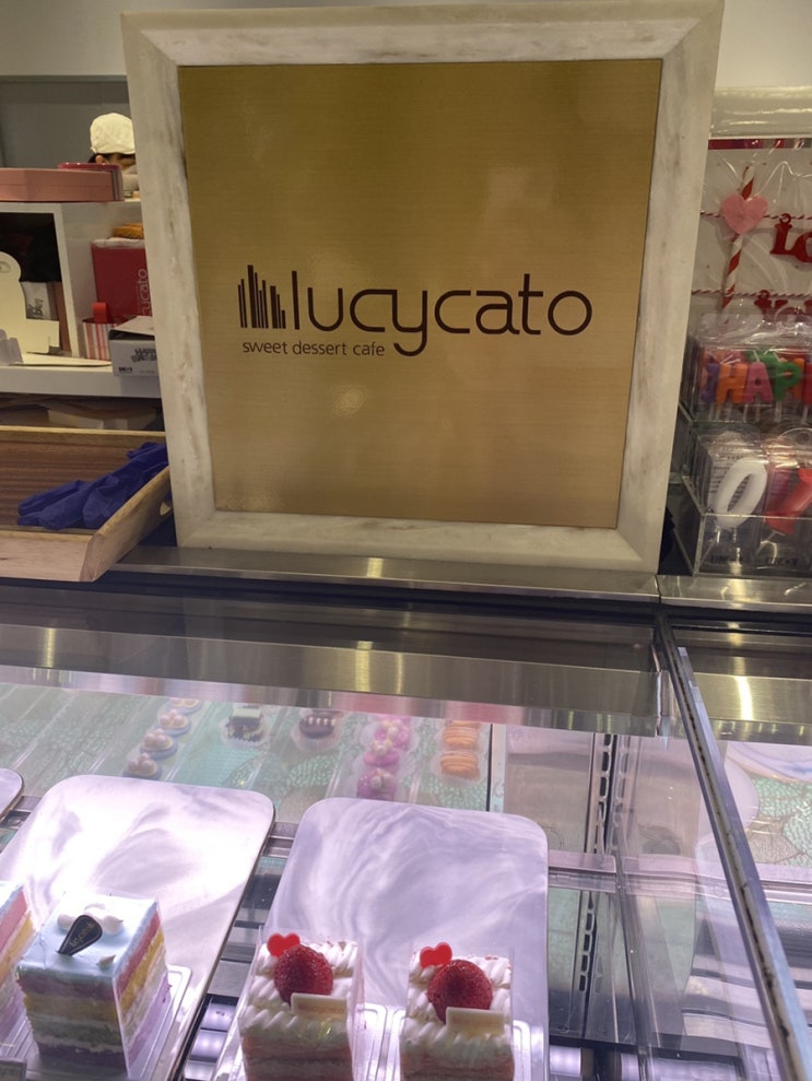  대구 신세계백화점 케이크맛집 ) 루시카토 lucycato