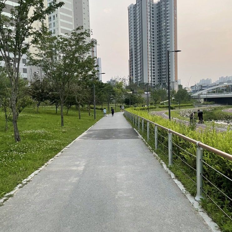  #33. 운동 일기 - 210624 러닝, 3.5km 달리기