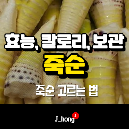  죽순 효능, 칼로리, 보관법 (feat. 죽순 고르는 방법)