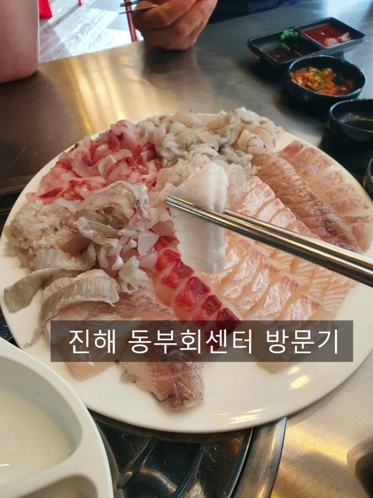  진해 동부회센터 방문기 모듬회 진해 동부회센타