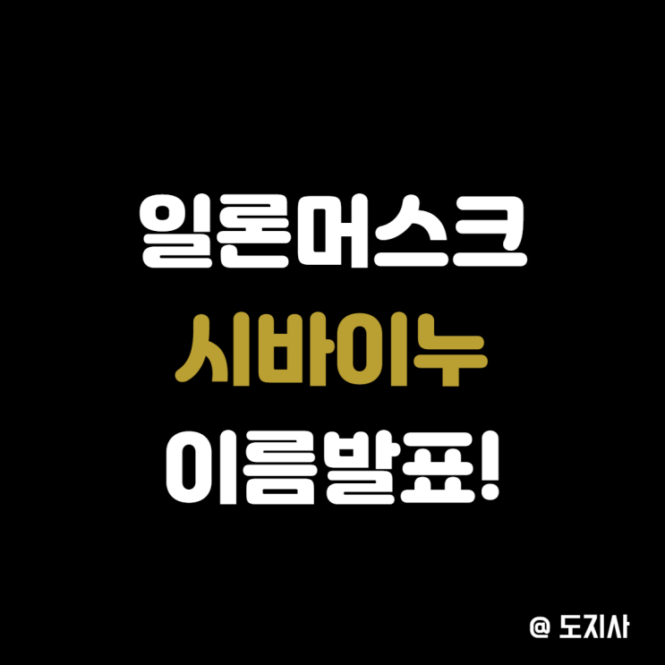  일론 머스크 트위터 반려 시바견 이름 발표