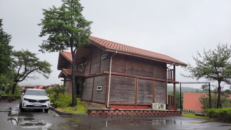  [전남 보성] 봇재 전망대와 보성 녹차 리조트
