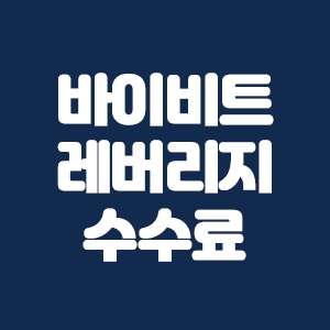  바이비트 레버리지 수수료