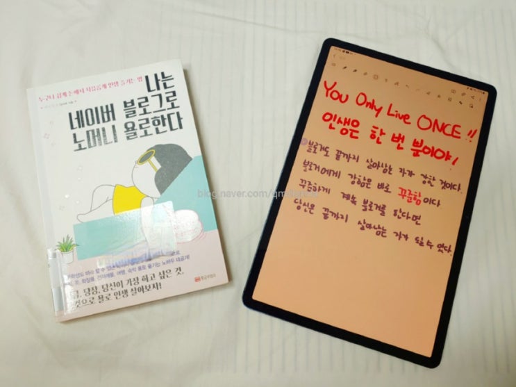  독서8] 나는 네이버 블로그로 노머니 욜로한다