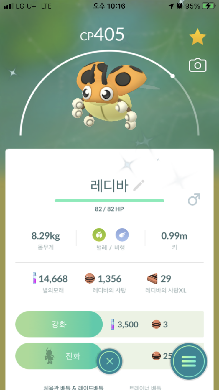  레디바, 레디안 이로치