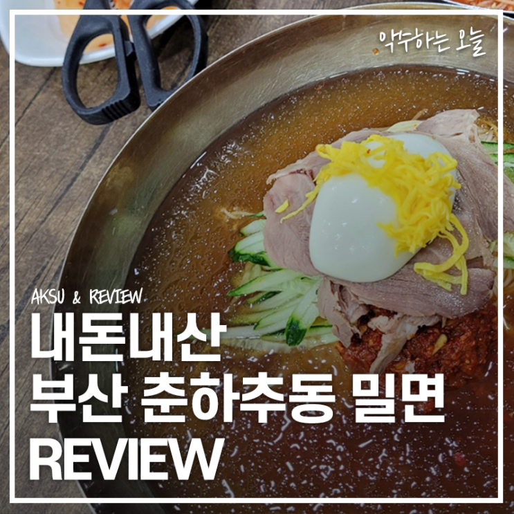  부산 춘하추동 밀면 전문점 해운대 직영점 직접 방문해본 솔직 후기