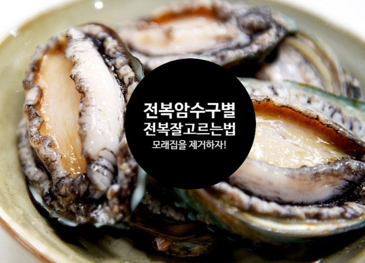  전복 암수구별 1초만에 ! 싱싱한 전복 고르는 법 보관법 손질방법 알아보기