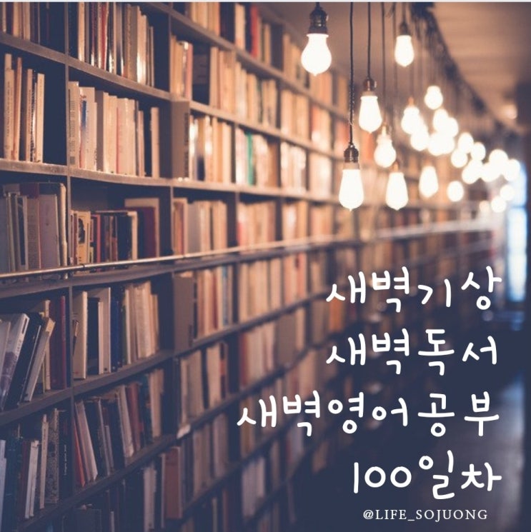  100일, 누적의 힘, 앞으로 어떻게 변하게 될지...