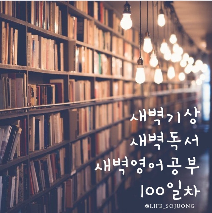 100일, 누적의 힘, 앞으로 어떻게 변하게 될지...