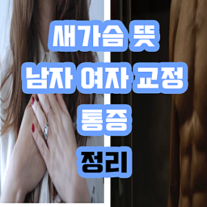 새가슴 뜻 새가슴 남자 여자 교정 통증 정리