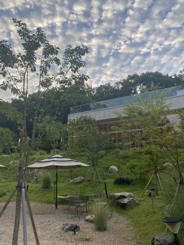  ʚ카페ɞ 대구 도심에서 느끼는 숲속감성 "바우어(Bower)"