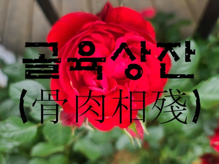  골육상잔, 절대 있어서는 안된다