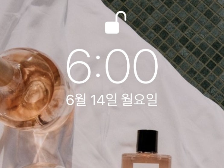  [습관만들기] 미라클 모닝 WEEK 5