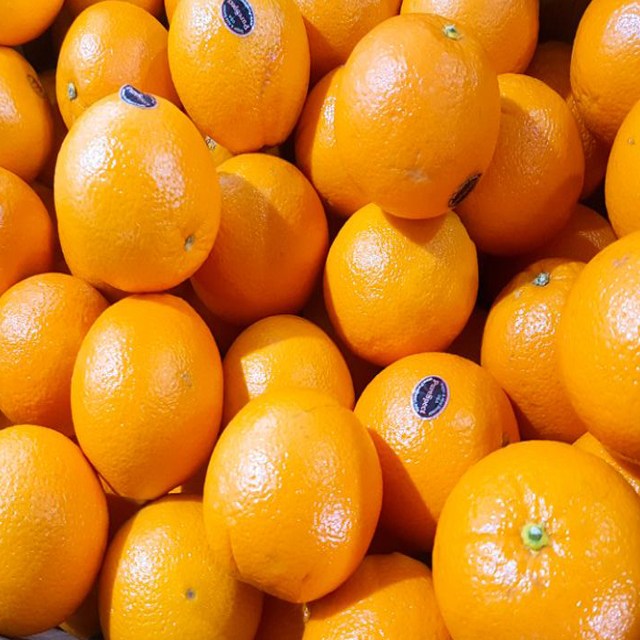 인기있는 달달과수원 퓨어스펙 맛있는 고당도 오렌지, 44개입, 9kg 추천합니다