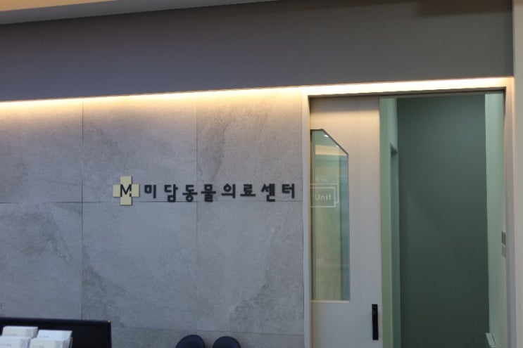  별내 미담동물병원 강아지 토 설사 내원