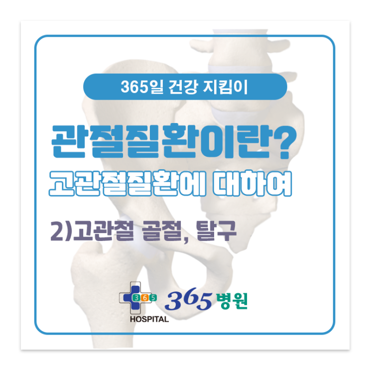 [창원마산 척추관절 디스크 365병원] 고관절 골절, 탈구