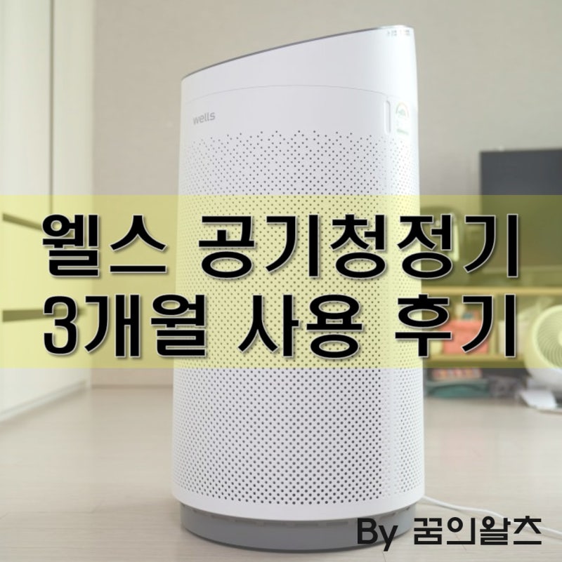 웰스 공기청정기 필터 교체, 첫사용 3개월 후 방문 서비스 후기